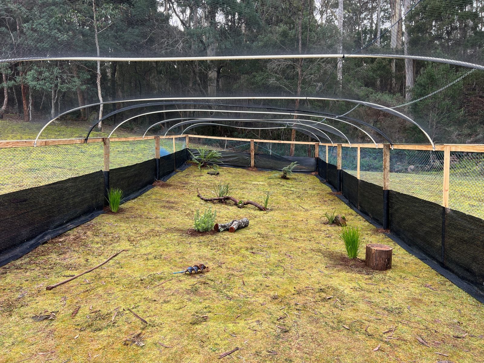 Little Pouch Crew wildlife rehabilitation enclosure