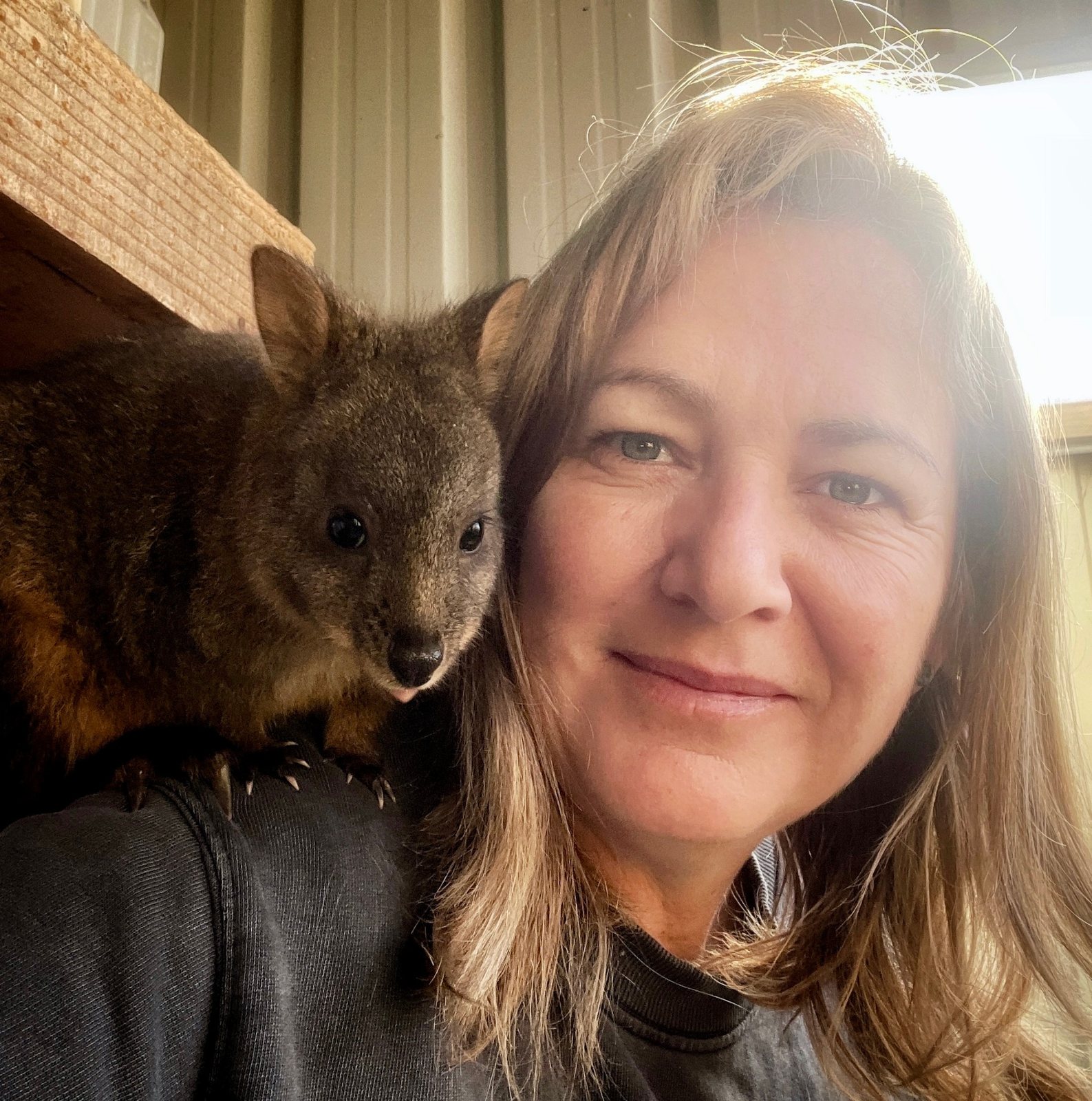 Karen caring for an orphaned joey